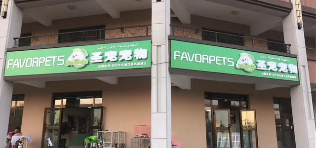 圣宠宠物0