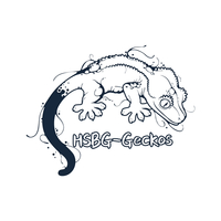 HSBG-Geckos工作室 封面小图