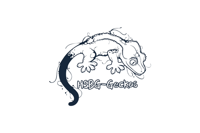 HSBG-Geckos 封面大图