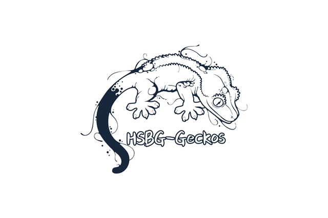 HSBG-Geckos工作室 封面大图