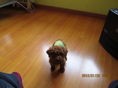 ：User_126783家的宝贝，喜欢就点个赞喽_1417092073