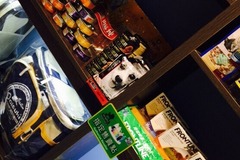 New pet新宠宠物店2