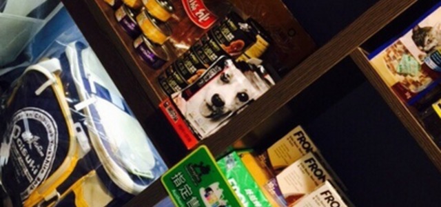 New pet新宠宠物店2