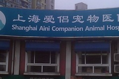 杨家宠物诊所环境0