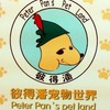 彼得潘的宠物世界