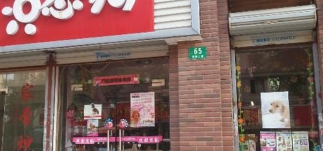 古惑狗宠物店0