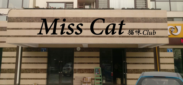 Miss Cat 猫咪Club0