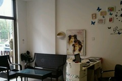 Per Dog沛德宠物行为诊疗1