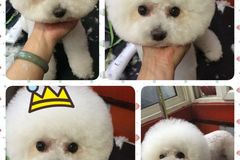 多多乐宠物生活小铺0