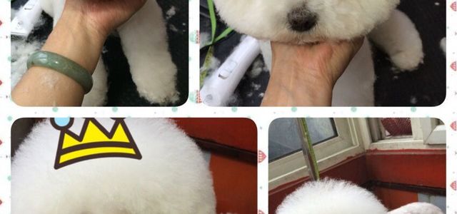 多多乐宠物生活小铺0