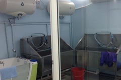 WeJoy宠屋7