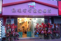 傲雄叮叮宠物美容(御桥路店)0