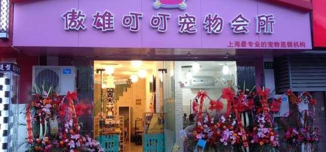 傲雄叮叮宠物美容(御桥路店)0