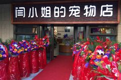 闫小姐的宠物店0