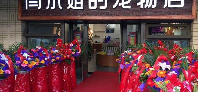 闫小姐的宠物店0