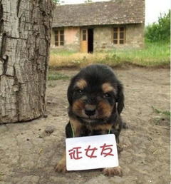 ：俺家黑小征女友啦