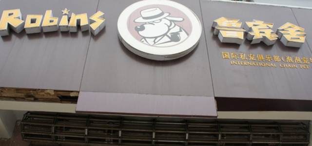 鲁宾舍国际私宠俱乐部(共泉路店)1