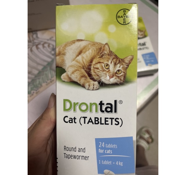 德国拜耳Bayer猫用拜宠清Drontal Cat体内驱虫药打虫药