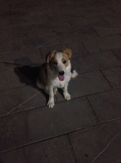 扑克：