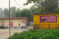 北京金峰宠物寄养会所