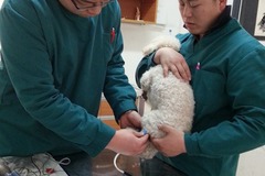 杨家宠物诊所环境3
