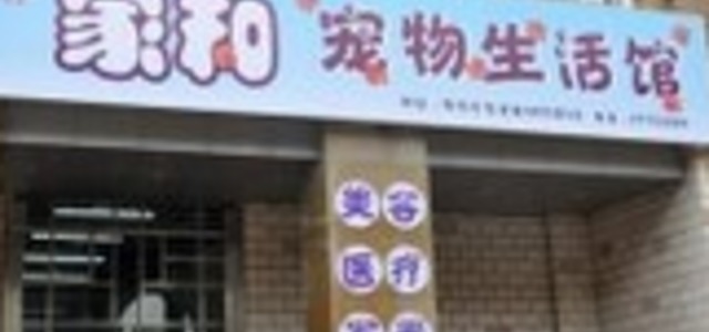爱犬E族0