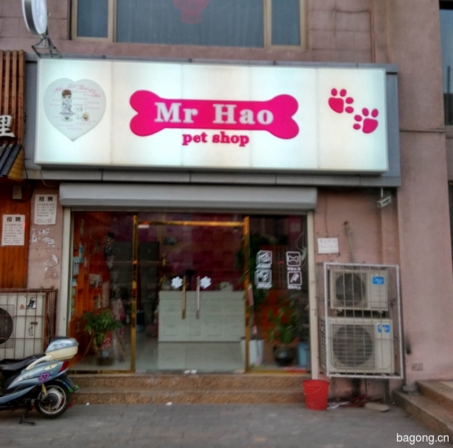 郝先生宠物店 封面大图