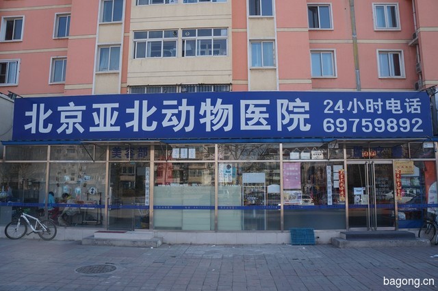 北京亚北动物医院 封面大图