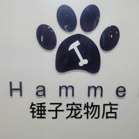 HAMMER锤子宠物店 封面小图