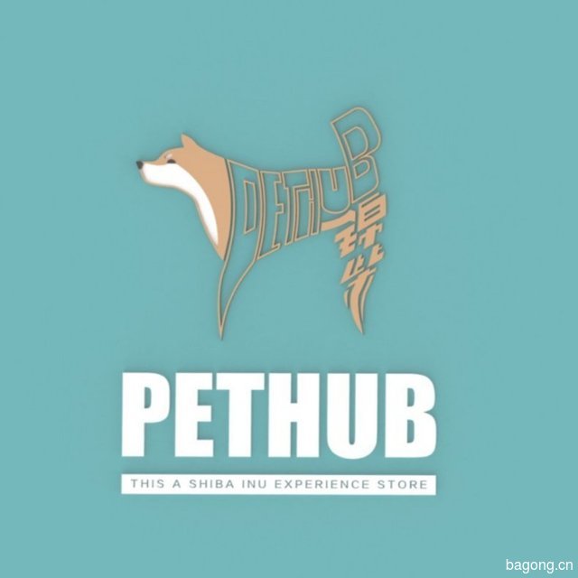 锦柴PETHUB 封面大图