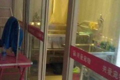 关爱宠物店1