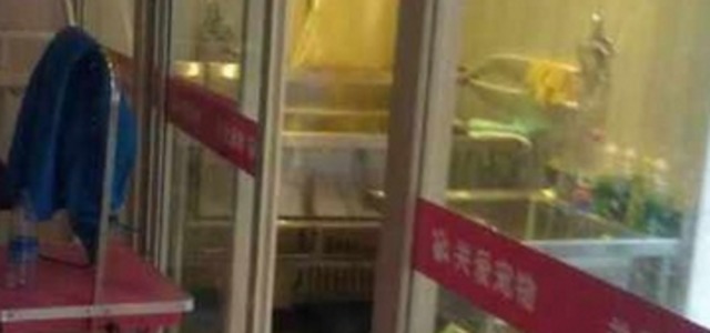 关爱宠物店1