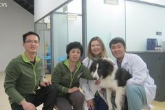北京新天地国际动物医院ICVS环境1