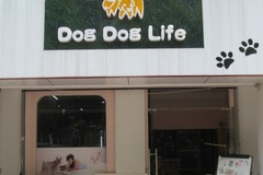 DOG秀宠物美容店0
