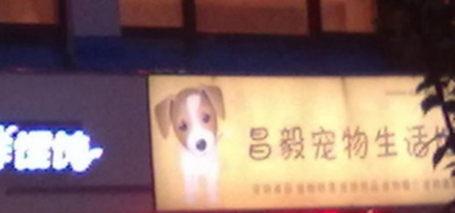 昌毅宠物生活馆0