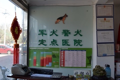 北京乖乖乐动物医院7