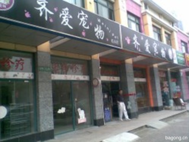 齐爱宠物 封面大图
