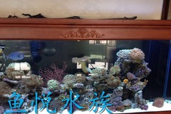 鱼悦水族设备有限公司1