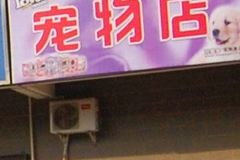 无忧汪汪宠物店0