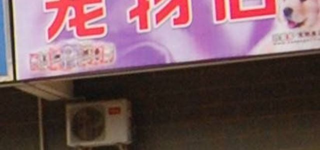 无忧汪汪宠物店0