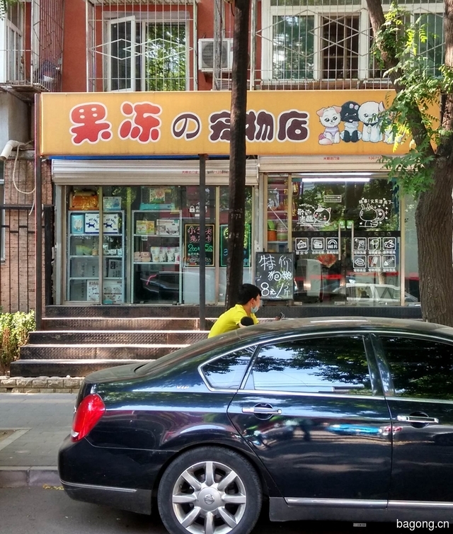 果冻宠物店 封面大图