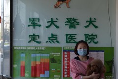 北京乖乖乐动物医院6