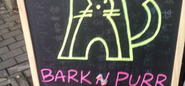 BARK N PURR2