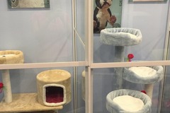 梦剧场宠物生活馆2