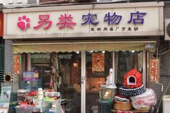 另类宠物店0