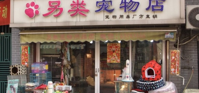 另类宠物店0