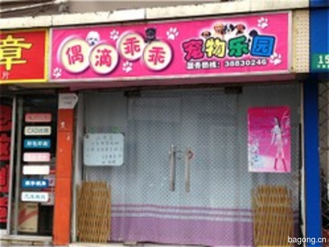 偶滴乖乖宠物乐园(宁阳路店) 封面大图