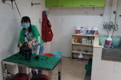 北京宠福鑫动物医院（回龙观分院）环境3