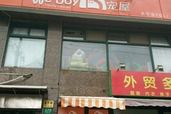 WeJoy宠屋2