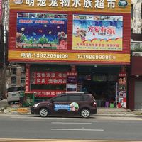 萌宠宠物廉江店 封面小图